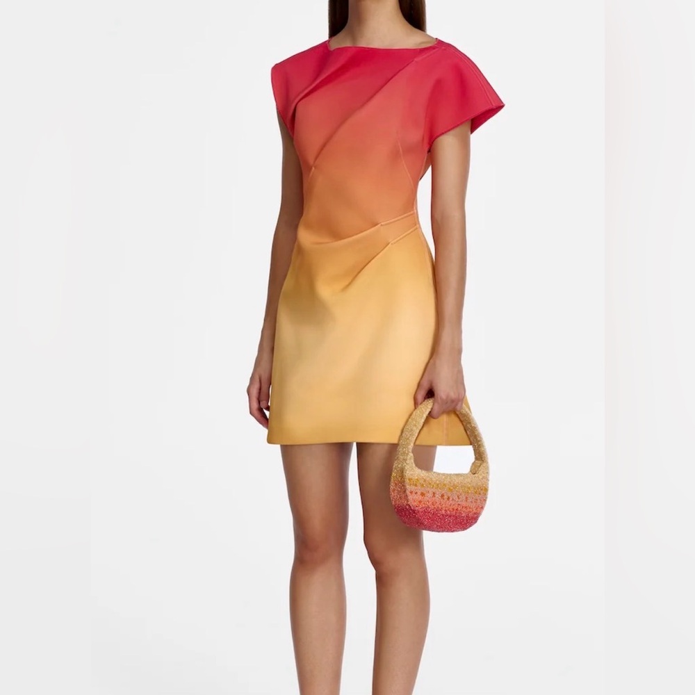 Acler Fencott Mini Dress